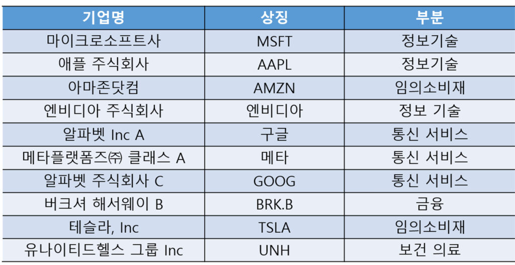 S&P500 10대 종목