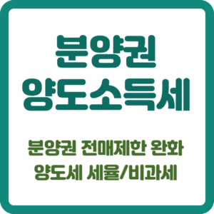 분양권 양도소득세