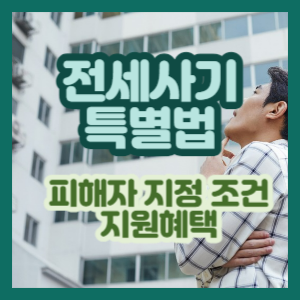 전세사기 특별